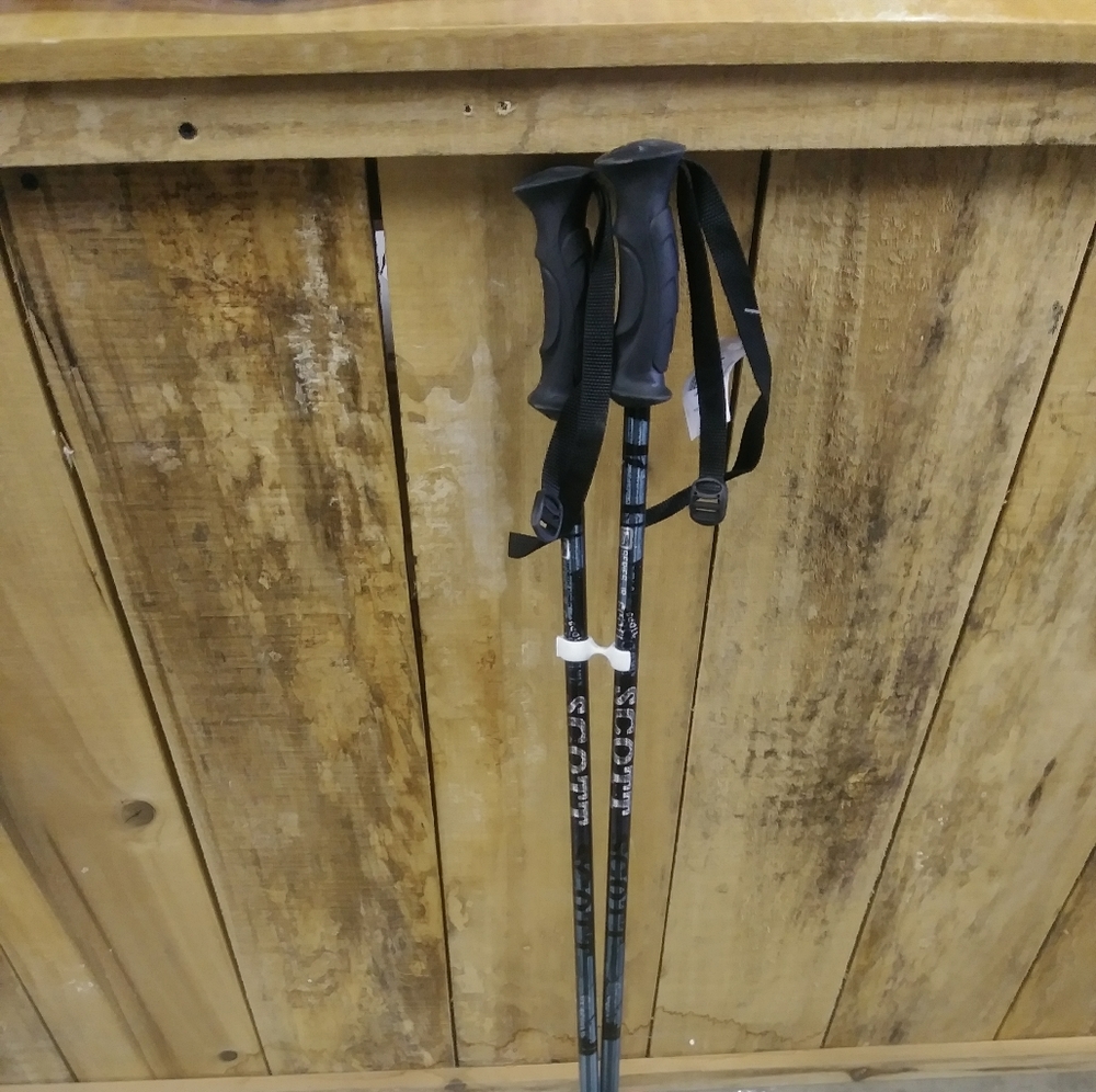 Ski poles